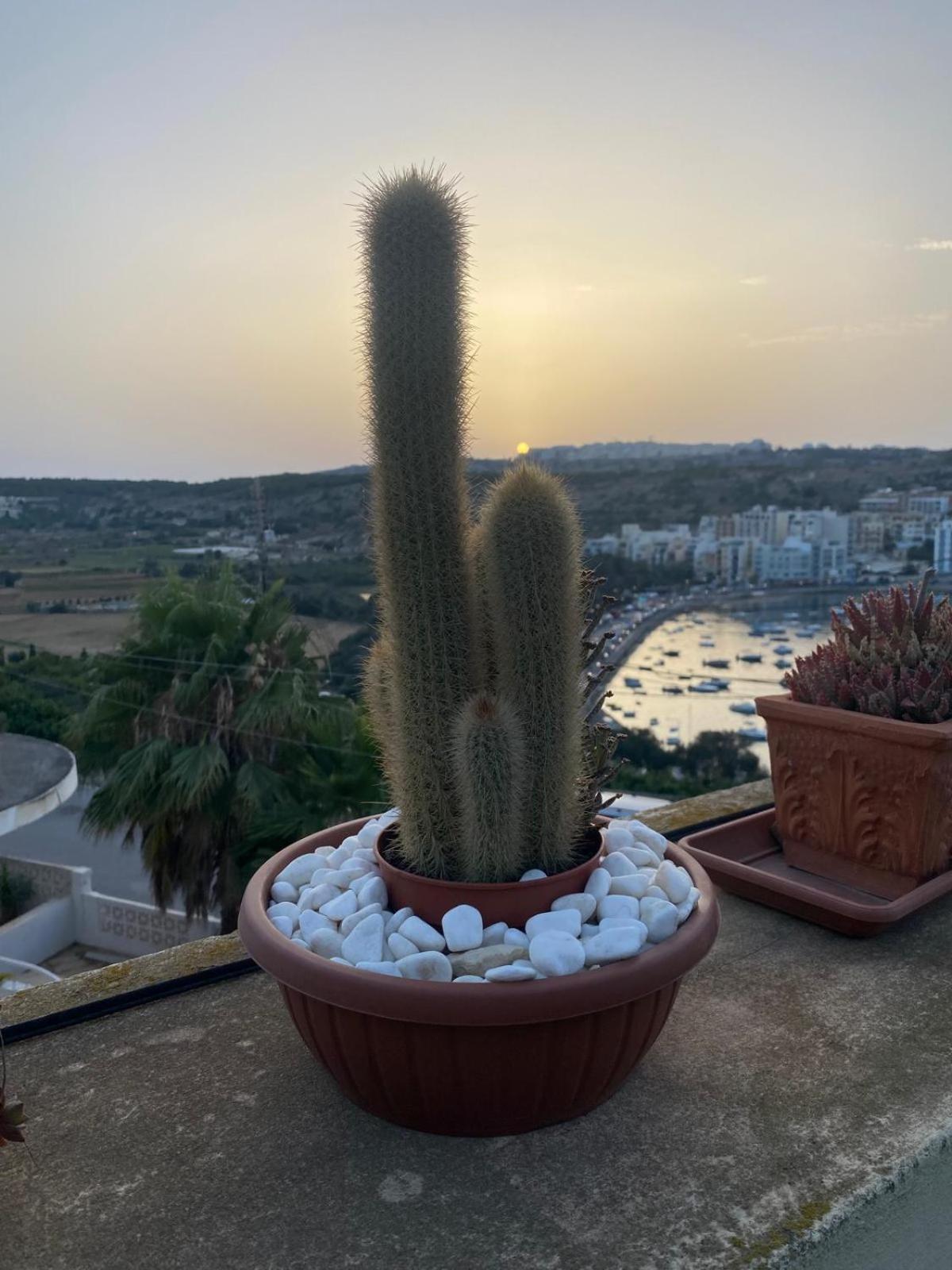 Villa Zammitella San Pawl il-Baħar Extérieur photo